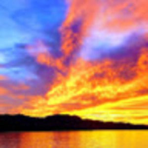 Meet your Posher, Savannah